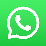 WhatsApp Setup