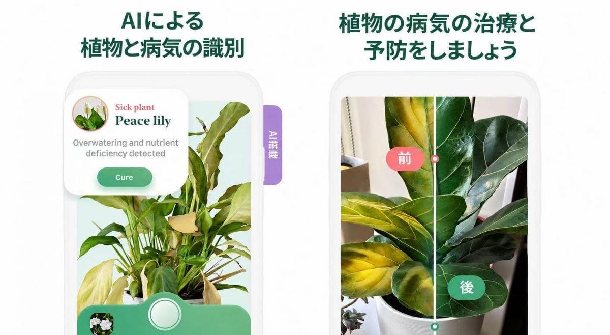 Blossomアプリで植物の病気を診断するやり方