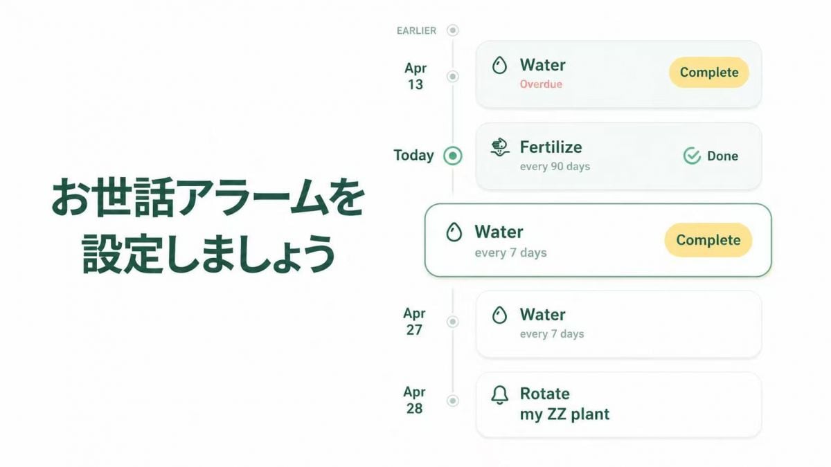 Blossomアプリの植物ケアリマインダー機能の活用方法