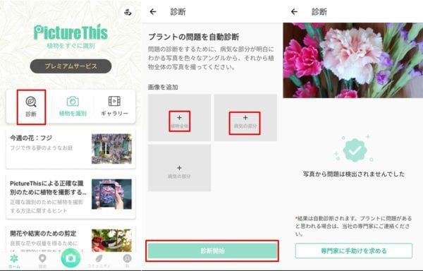PictureThisアプリで植物の病気を診断して対処方法を確認する方法