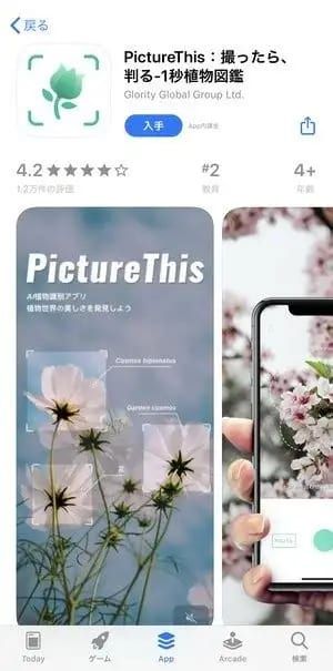 PictureThisアプリをダウンロードする方法