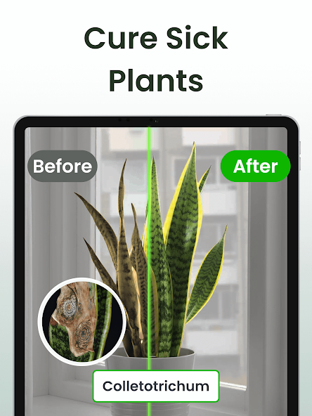 Never Miss a Watering Day: How to Set Reminders in Plantiary