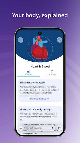 Simplifying Health Education and Explaining Your Body